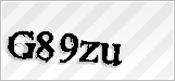 CAPTCHA security code