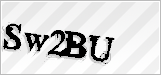 CAPTCHA security code