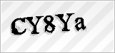 CAPTCHA security code