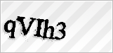 CAPTCHA security code