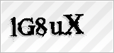 CAPTCHA security code