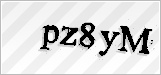 CAPTCHA security code