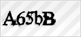 CAPTCHA security code