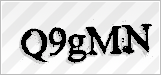 CAPTCHA security code