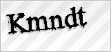 CAPTCHA security code