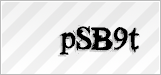 CAPTCHA security code