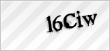 CAPTCHA security code