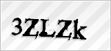 CAPTCHA security code