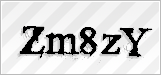 CAPTCHA security code