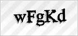 CAPTCHA security code