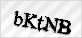 CAPTCHA security code