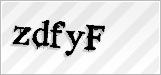 CAPTCHA security code