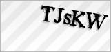 CAPTCHA security code