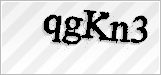 CAPTCHA security code
