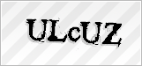 CAPTCHA security code