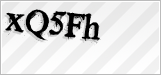CAPTCHA security code