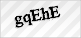 CAPTCHA security code