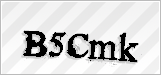 CAPTCHA security code