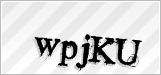 CAPTCHA security code