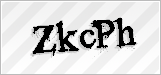 CAPTCHA security code