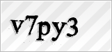 CAPTCHA security code