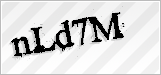 CAPTCHA security code