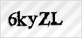 CAPTCHA security code