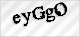 CAPTCHA security code