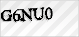 CAPTCHA security code