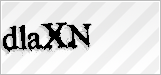 CAPTCHA security code