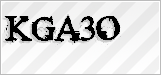 CAPTCHA security code