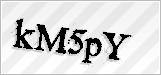 CAPTCHA security code