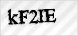 CAPTCHA security code