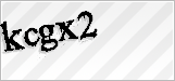 CAPTCHA security code