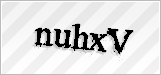 CAPTCHA security code