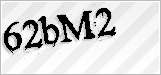 CAPTCHA security code
