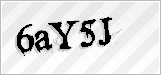 CAPTCHA security code