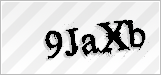 CAPTCHA security code