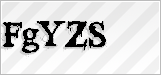 CAPTCHA security code
