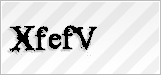 CAPTCHA security code