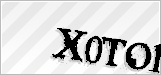 CAPTCHA security code
