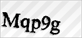CAPTCHA security code