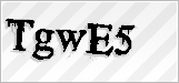 CAPTCHA security code