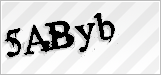 CAPTCHA security code