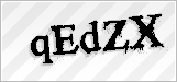 CAPTCHA security code