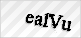 CAPTCHA security code