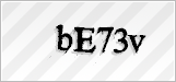 CAPTCHA security code