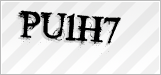 CAPTCHA security code