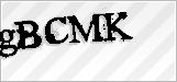 CAPTCHA security code