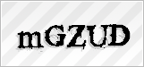 CAPTCHA security code